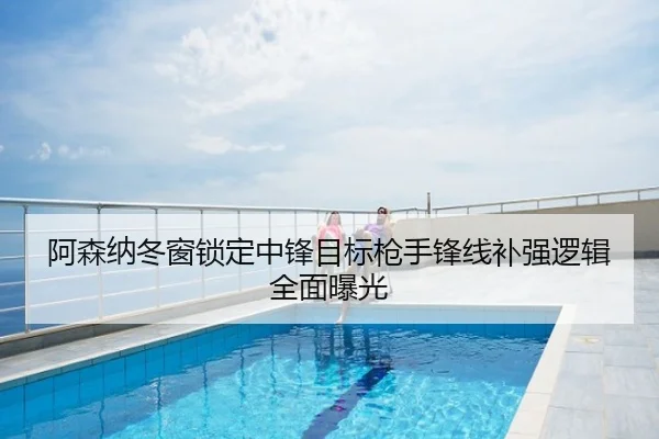 阿森纳冬窗锁定中锋目标枪手锋线补强逻辑全面曝光