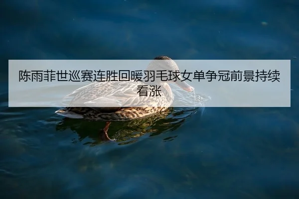 陈雨菲世巡赛连胜回暖羽毛球女单争冠前景持续看涨